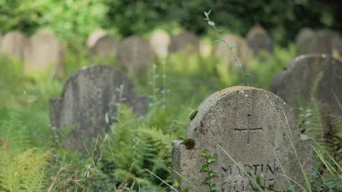 Old Graveyard Tombstones Among Greenery