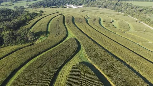 Wisconsin Contour Farm Field. Contour Farming is a conservation practice that involves performing