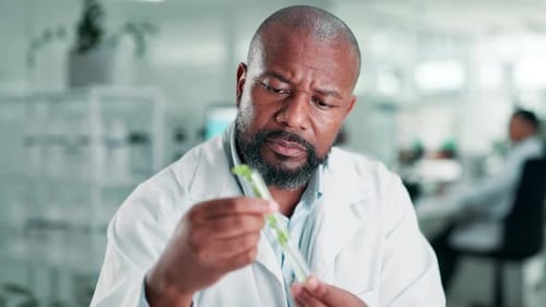 Scientist, man and test tube with plant in laboratory for sample inspection