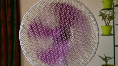 Home appliance electric fan rotating purple plastic blades circulating air in room medium shot