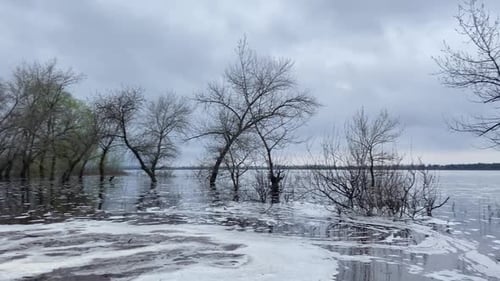 Spring flood, the river overflowed, trees were flooded, cloudy day