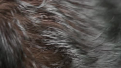 Close Look at Hair Texture and Scalp Condition