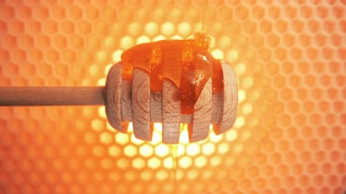 Bee Honeycombs and Honey