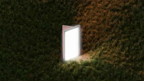 3D Loop Satisfying Door Pathway Animation