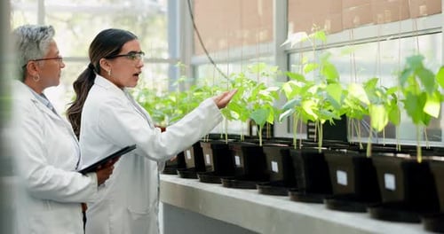 Scientist, plant and teamwork of women for botany research of mentor, student