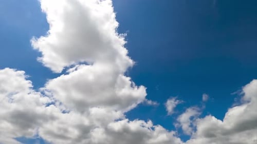 Fluffy small clouds transforming quickly into grey cloudscape. View from below. Timelapse.