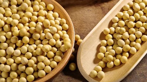 longan fruit or Dimocarpus longan which is placed in a wooden woven plate and rotated