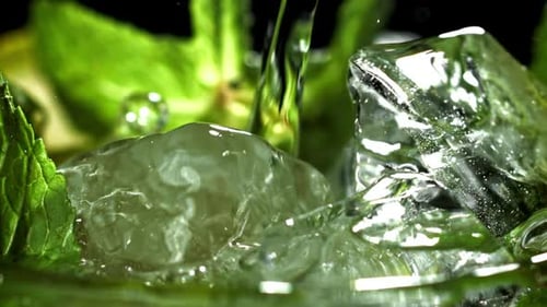 Water Poured over Ice Cubes and Mint Leaves