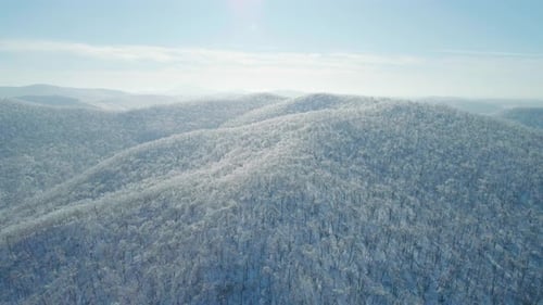 Aerial Winter Mountain Landscape of a Frozen Forest with Snow and Ice Covered Trees on a Sunny