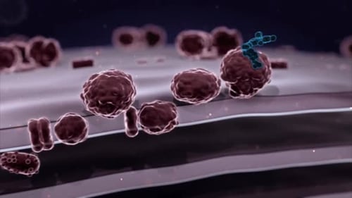 Scientific 3D Animation of Molecular Binding Process