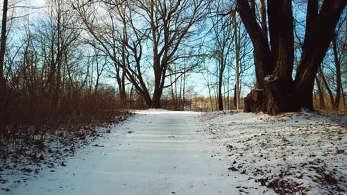Snow In April In Mazurino Park 09