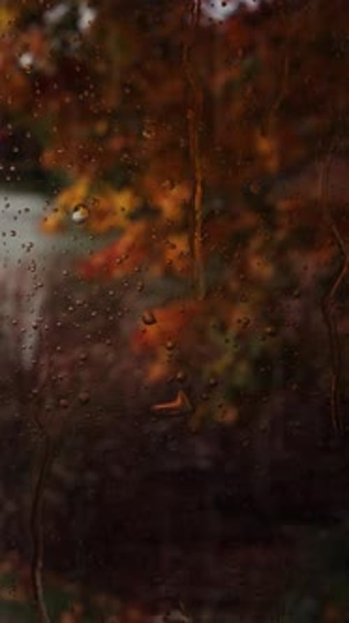 Realistic Raindrops on Glass with Autumn Leaves Background