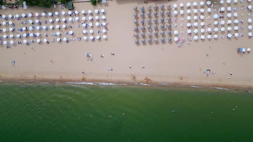Drone Video Capturing a Topdown View of a Beach with Rows of Colorful Umbrellas Lined Up Perfectly