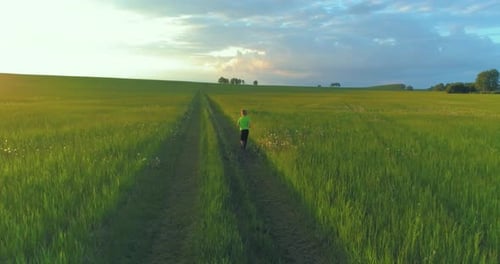 Sporty Child Runs Through a Green Wheat Field Evening Sport Training Exercises at Rural Meadow A
