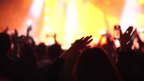 Excited Crowd at a Concert with Bright Lights