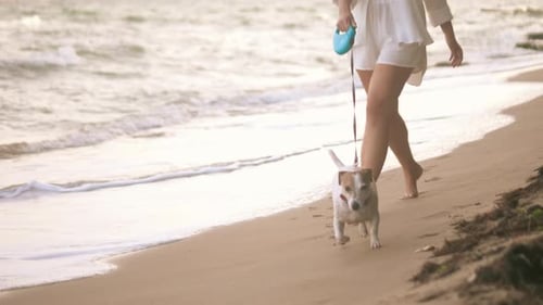 Woman Walks Dog on Sandy Beach