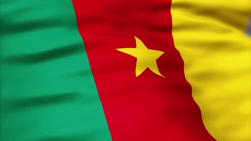 Waving Flag of Cameroon Seamless Loop