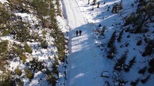 Snow Stepping