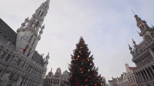 Low wide shot of Christmas tree, town hall and guild houses on the Grote Markt (Grand square) in Bru