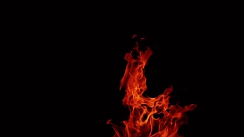 Close Up of Fiery Flames Rising on Black