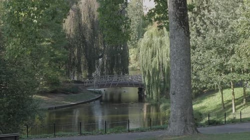 Bridge in a garden beautiful river