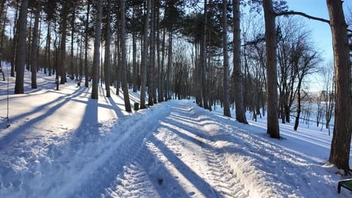 Gefrorener Wald, bedeckt mit weißem Schnee und glühender strahlender Sonne im Winter