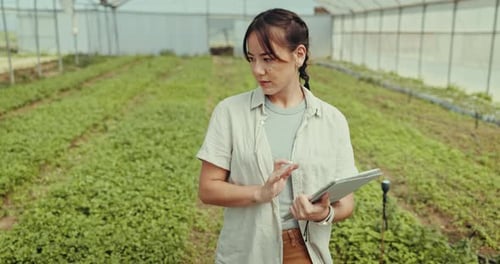 Woman Using Tablet in Lush Greenhouse