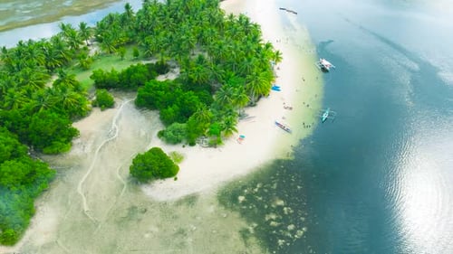 Aerial View of a Small Tropical Island with Lush Palm Trees and White Sandy Beaches Traditional
