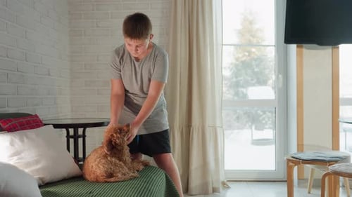 Teen Boy Affectionately Pets Poodle Dog Indoors