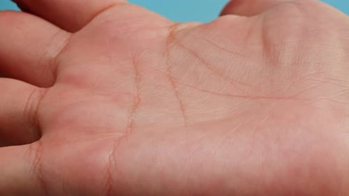 Human Hand with Lines Palm Reading Foretelling the Future Through the Study of the Palm Close Up