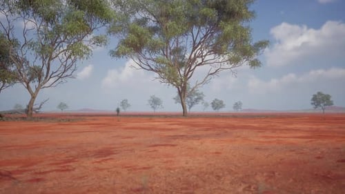 Dry African Savanna Landscape with Scattered Trees Under a Clear Blue Sky