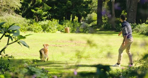 Park, Fang und Mann mit Ball für Hund für gemeinsame Bewegung, Training und Abenteuer im Freien