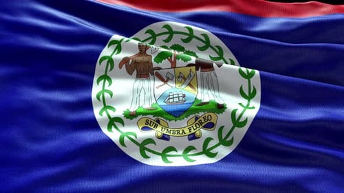 Belize National Flag Waving in Realistic Fabric Texture Animation
