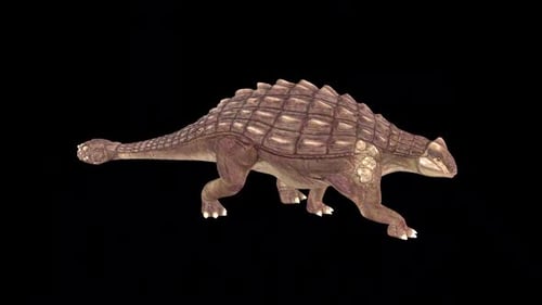 Marche lente du dinosaure Ankylosaure