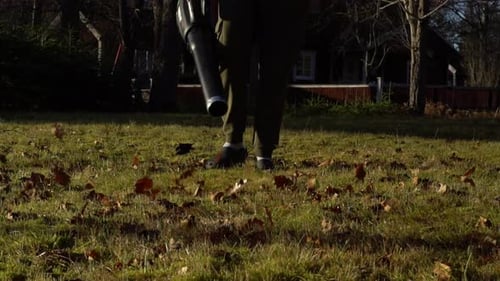 Male with a leaf blower in the evening.
