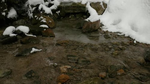 Ein Bach mit klarem Wasser, das zwischen Steinen und Schneeverwehungen in einem Winterwald fließt.