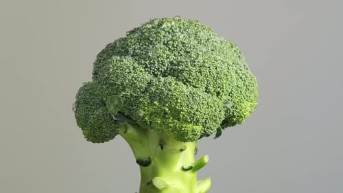 Vibrant Broccoli Florets Their Freshness Evident Echo the Importance of Vegetables in a Balanced
