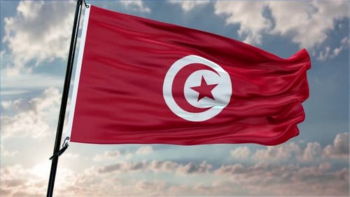 Tunisia National Flag Waving in Realistic Animation