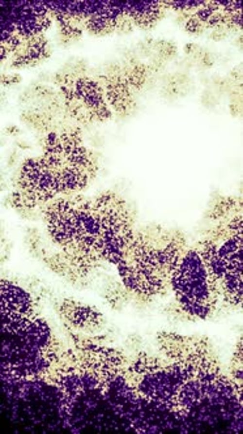 Abstract Lighting Dust Particle and Glare on a Dark Background