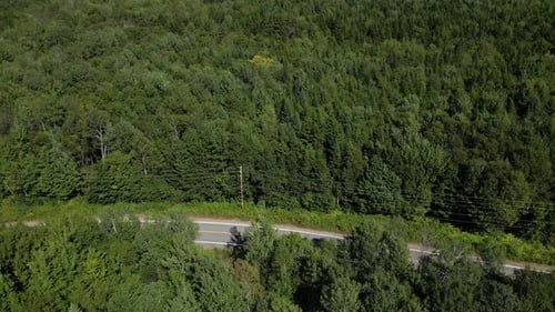 Drone Pan Left revela que SUV continua ao longo de uma tranquila estrada florestal