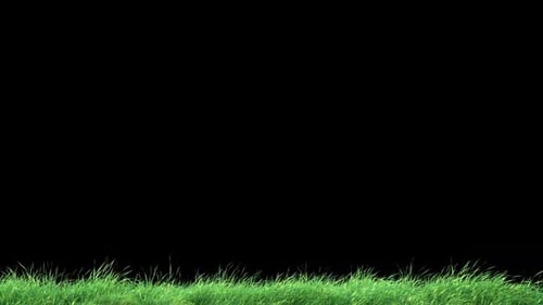 Grass Wind Loop on Alpha.