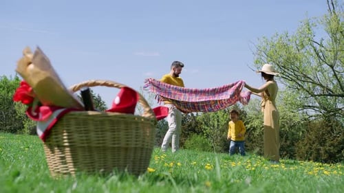 Family Spreads Picnic Blanket in Springtime Field
