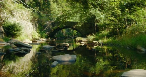 Stone bridge reflecting in the calm river surrounded by lush foliage and vibrant green summer forest