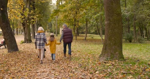 Small Girl with Grandparents on a Walk in Autumn Forest