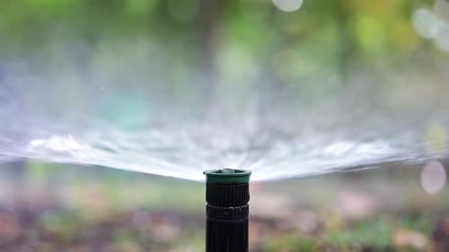 Close up of a water sprinkler in action, spraying water across grass and plants
