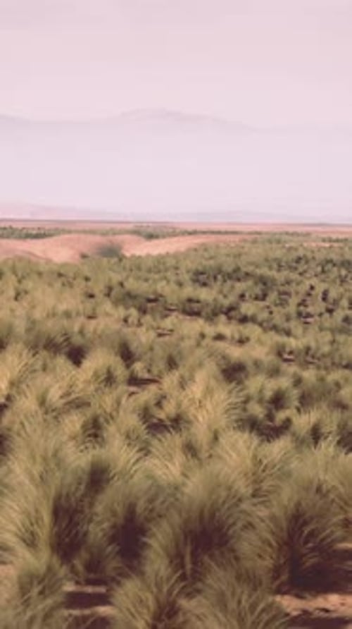 A Serene Mountain Landscape with a Vast Field of Green Grass