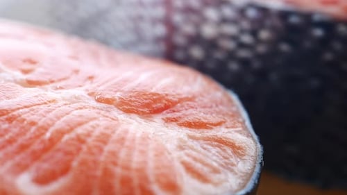 Close-Up Shot of Fresh Salmon Steaks