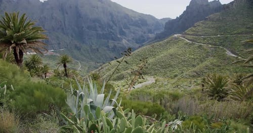 Gorge de Masca et village sur l'île de Tenerife, îles Canaries, Espagne
