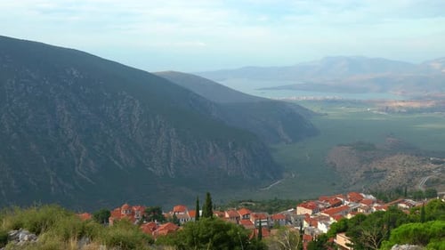 Panoramic View of Olive Grooves near the Ancient City of Delphi