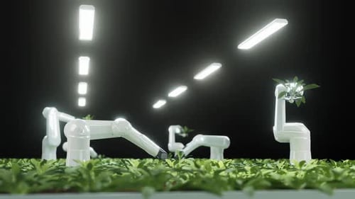 Robotic Arms Cultivating Green Plants in an Automated Farm
